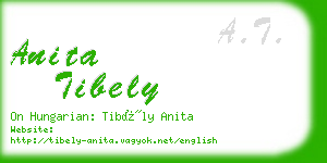 anita tibely business card